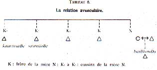 Relation avunculaire